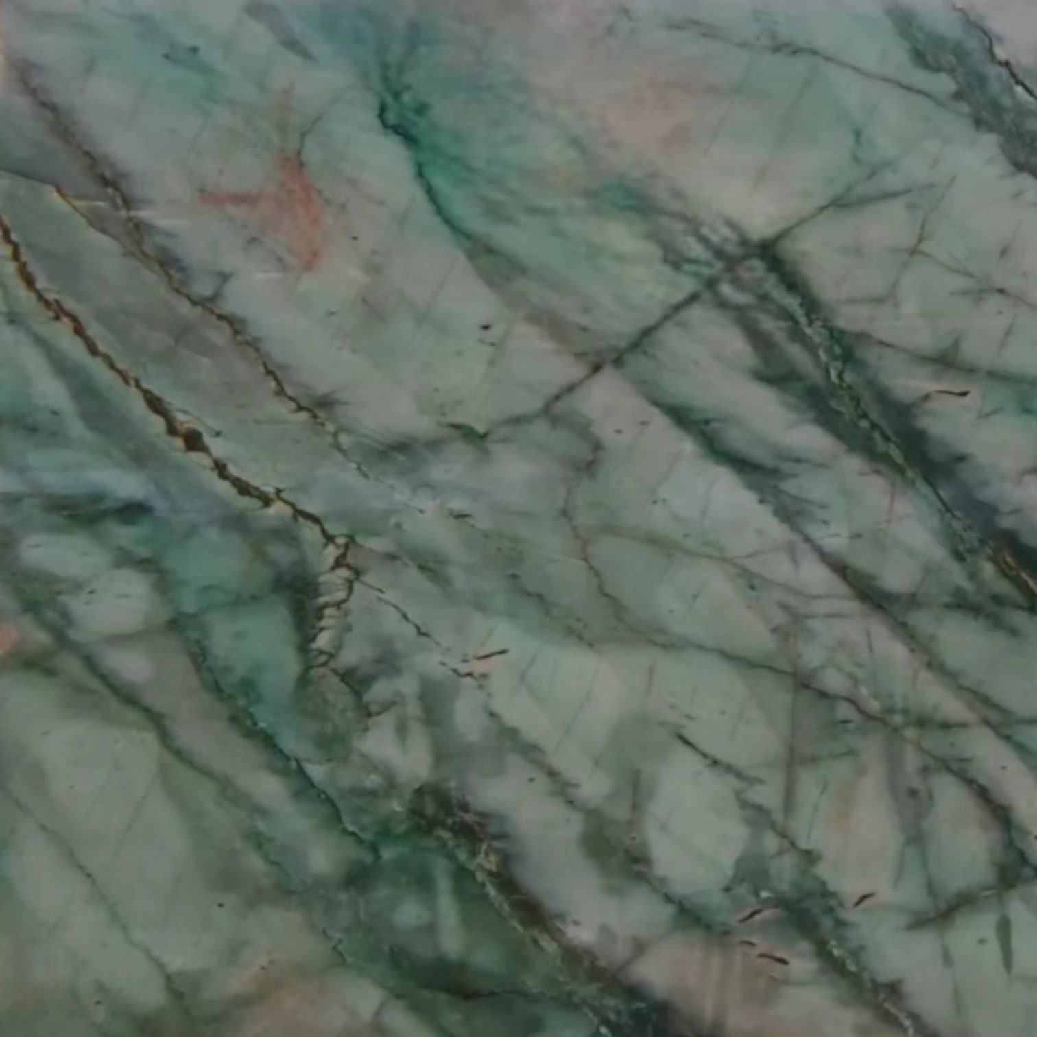 Amazon Jade — 1