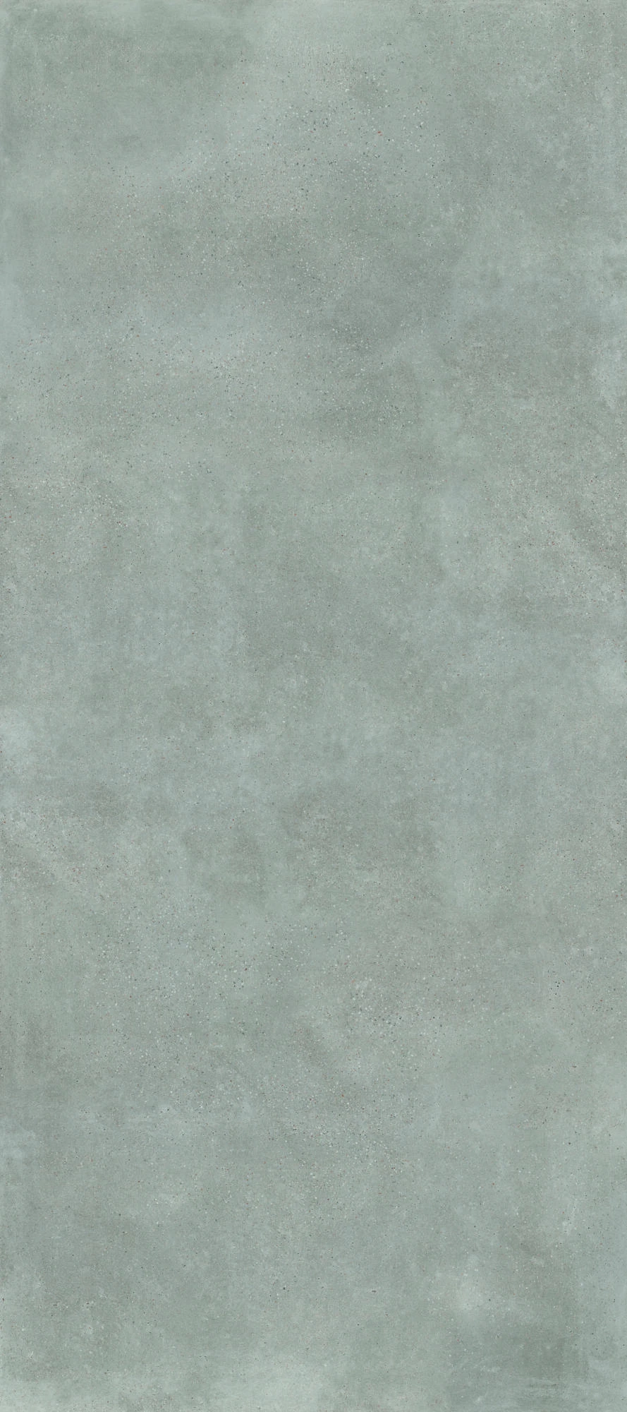 Bellissima Grigio — 1