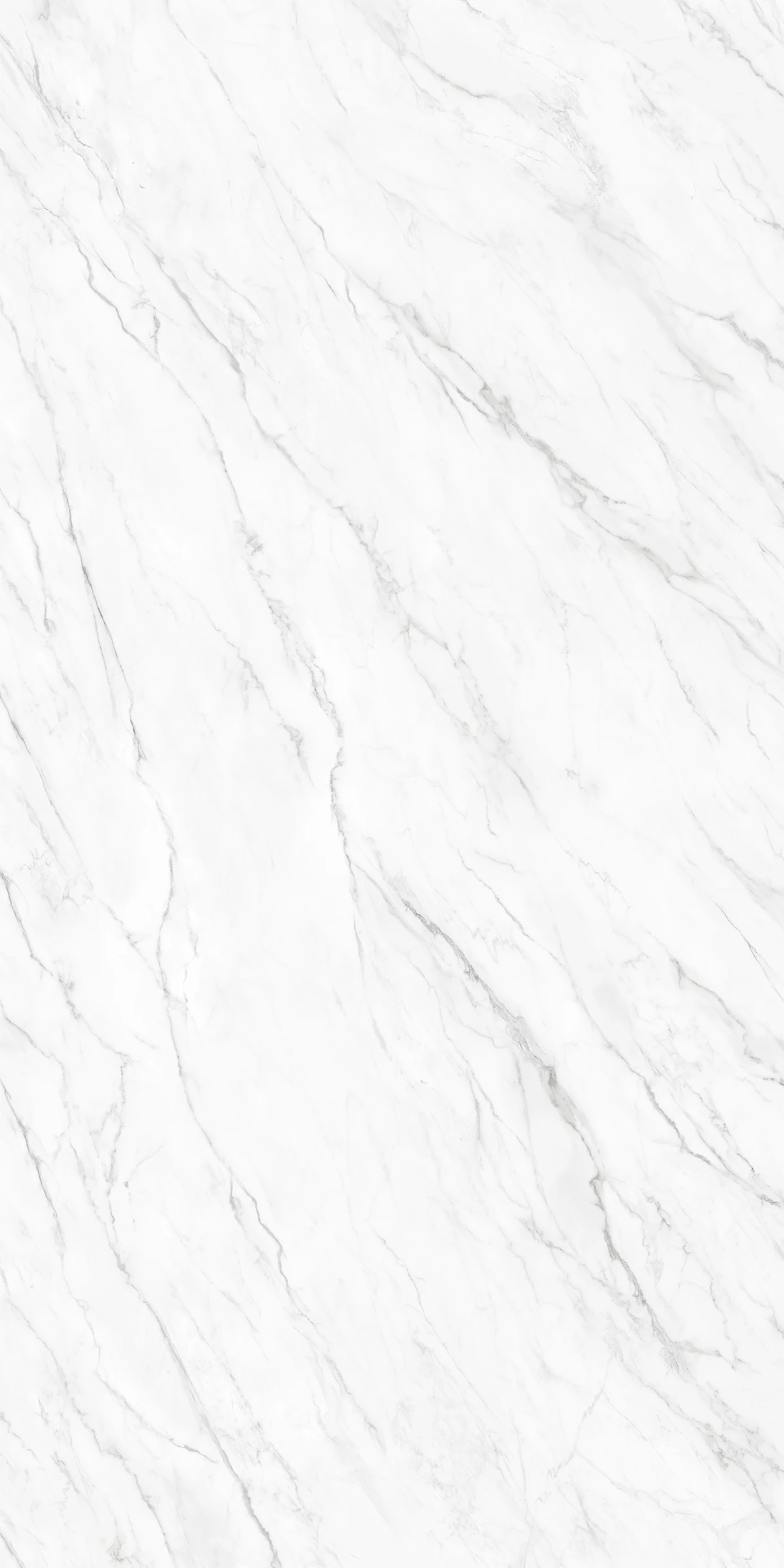 Calacatta Classic — 1