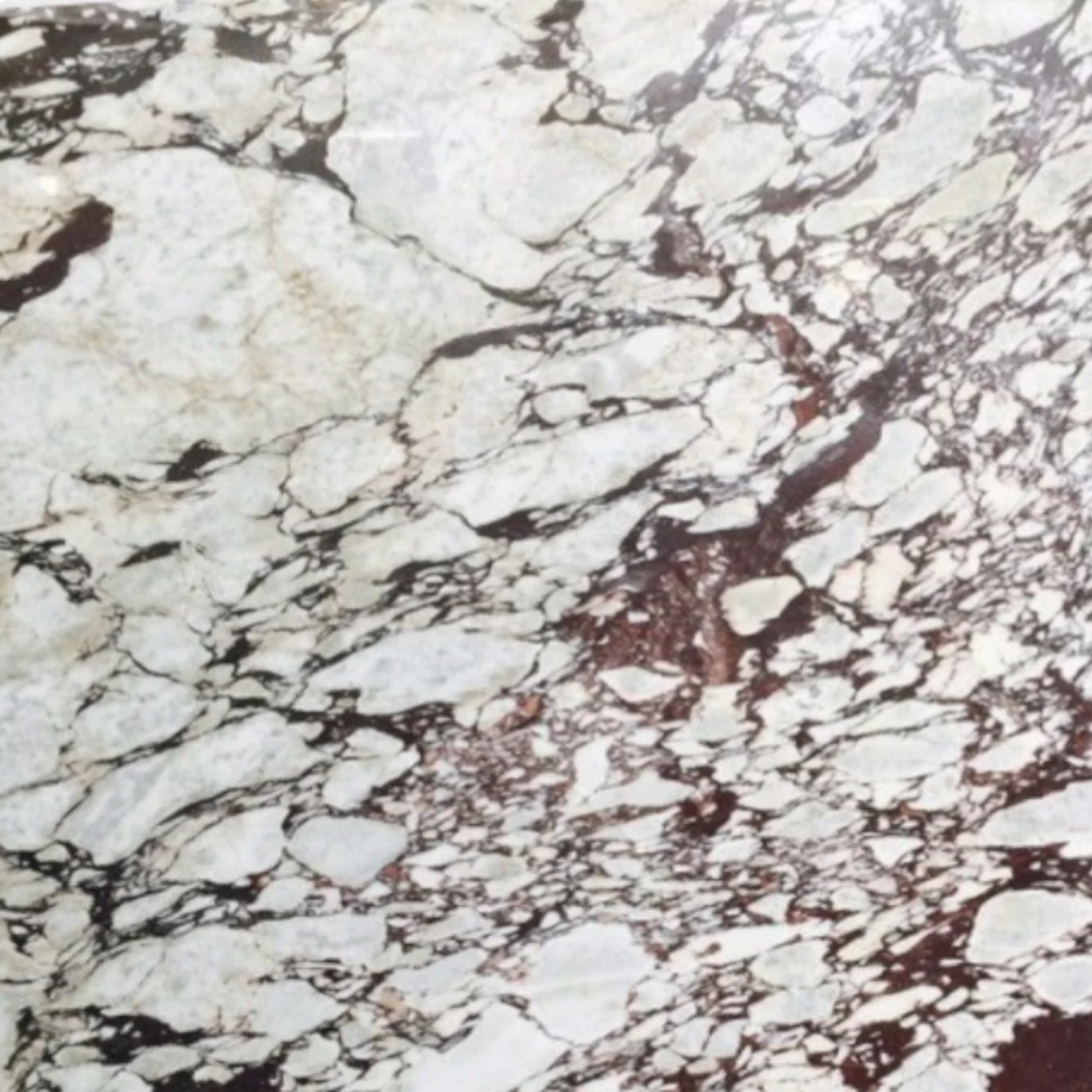 Calacatta Viola stone slab