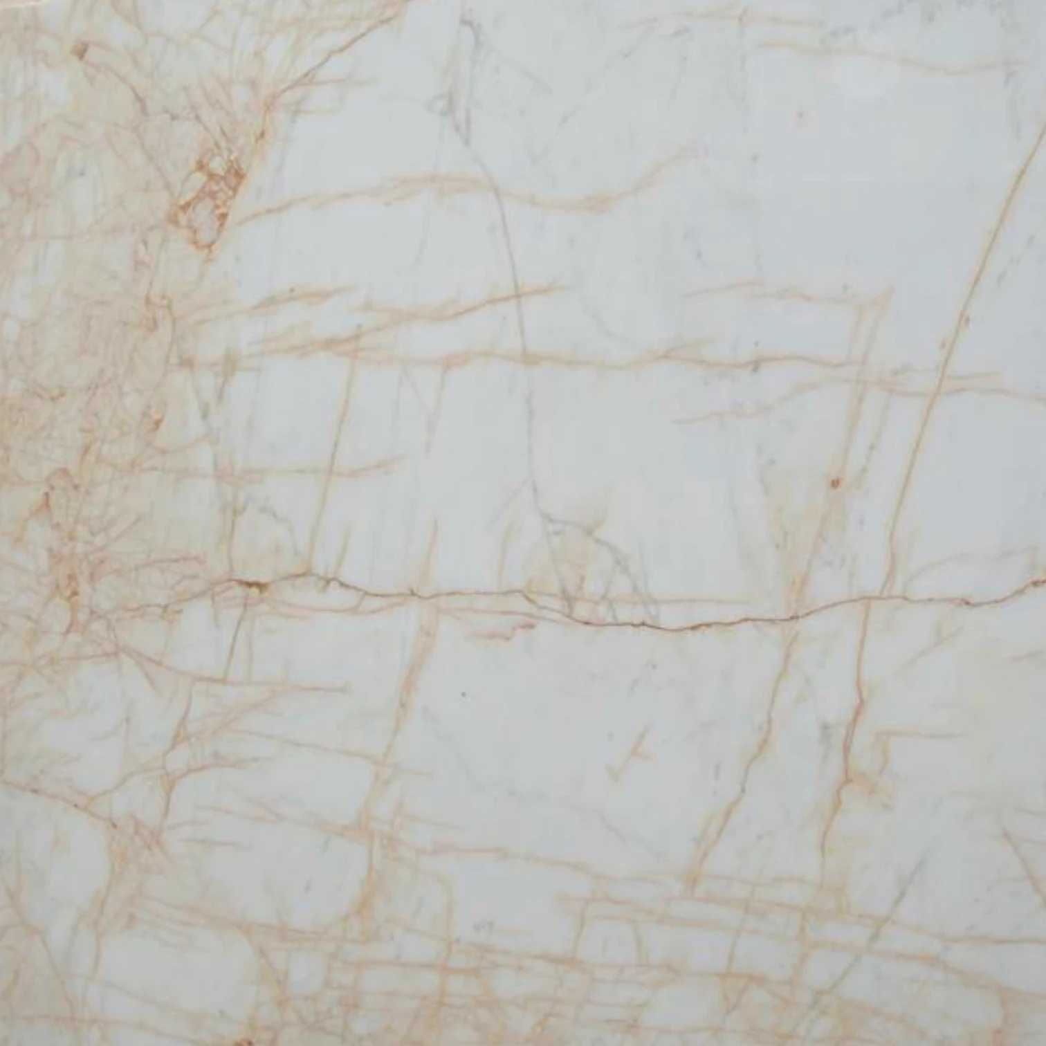 Golden Spider stone slab