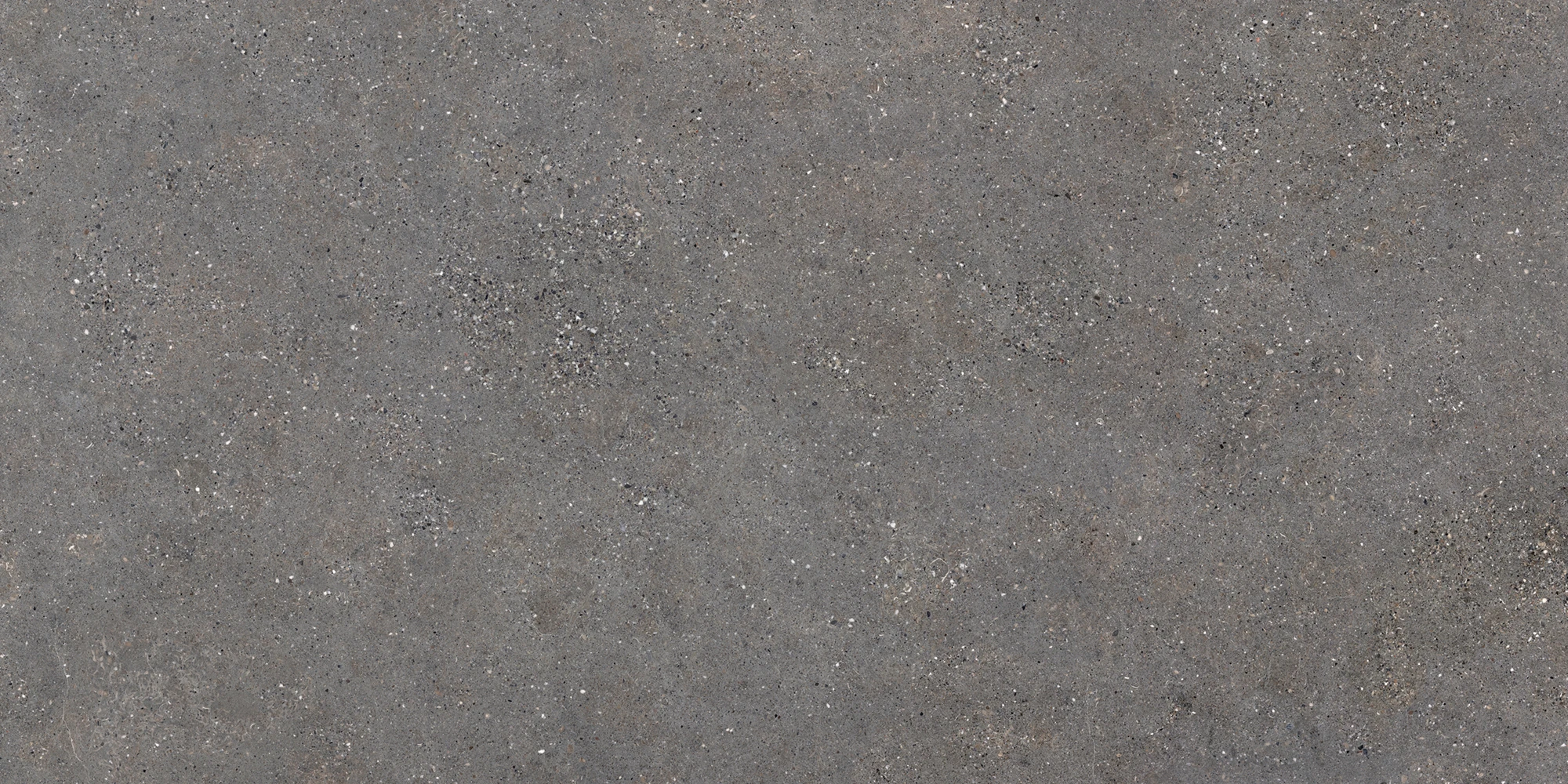 Neolith Wulong — 1