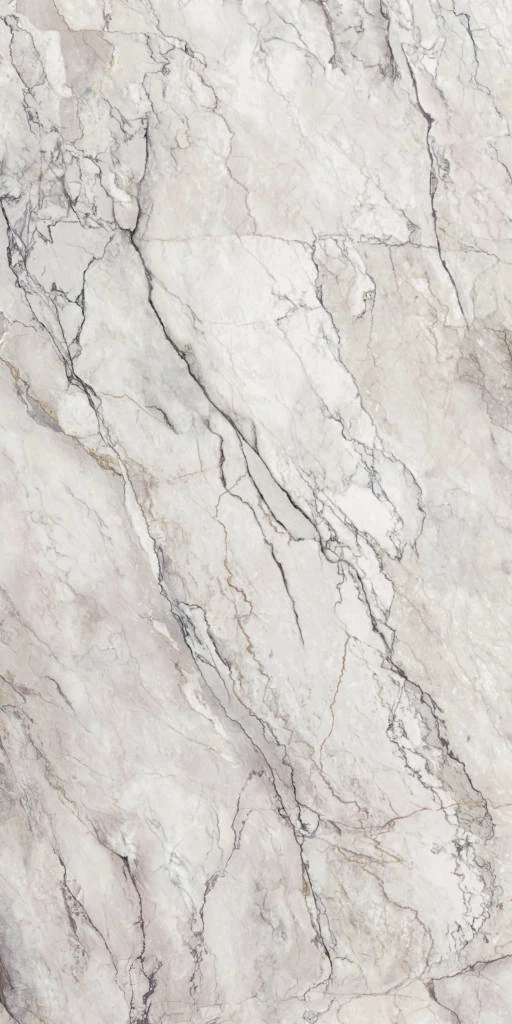 Terra Di Bolgheri — 3