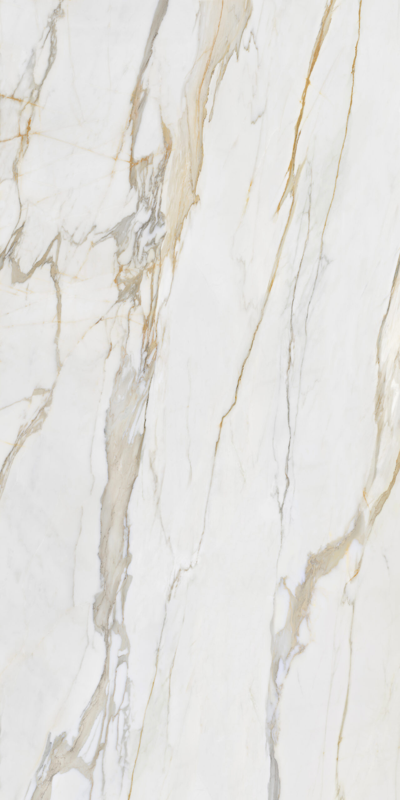 Calacatta Gold stone slab