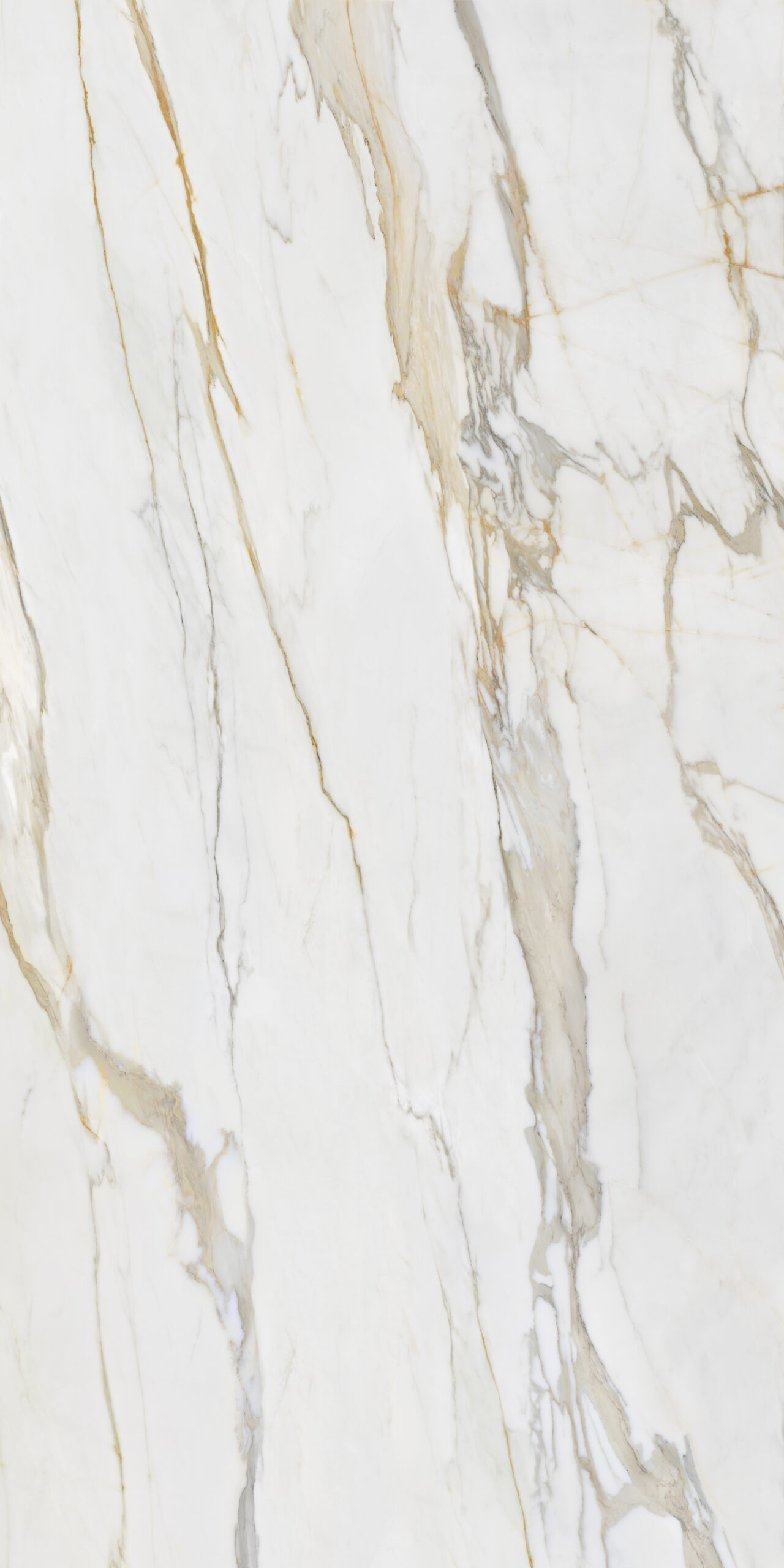 Calacatta Gold — 2