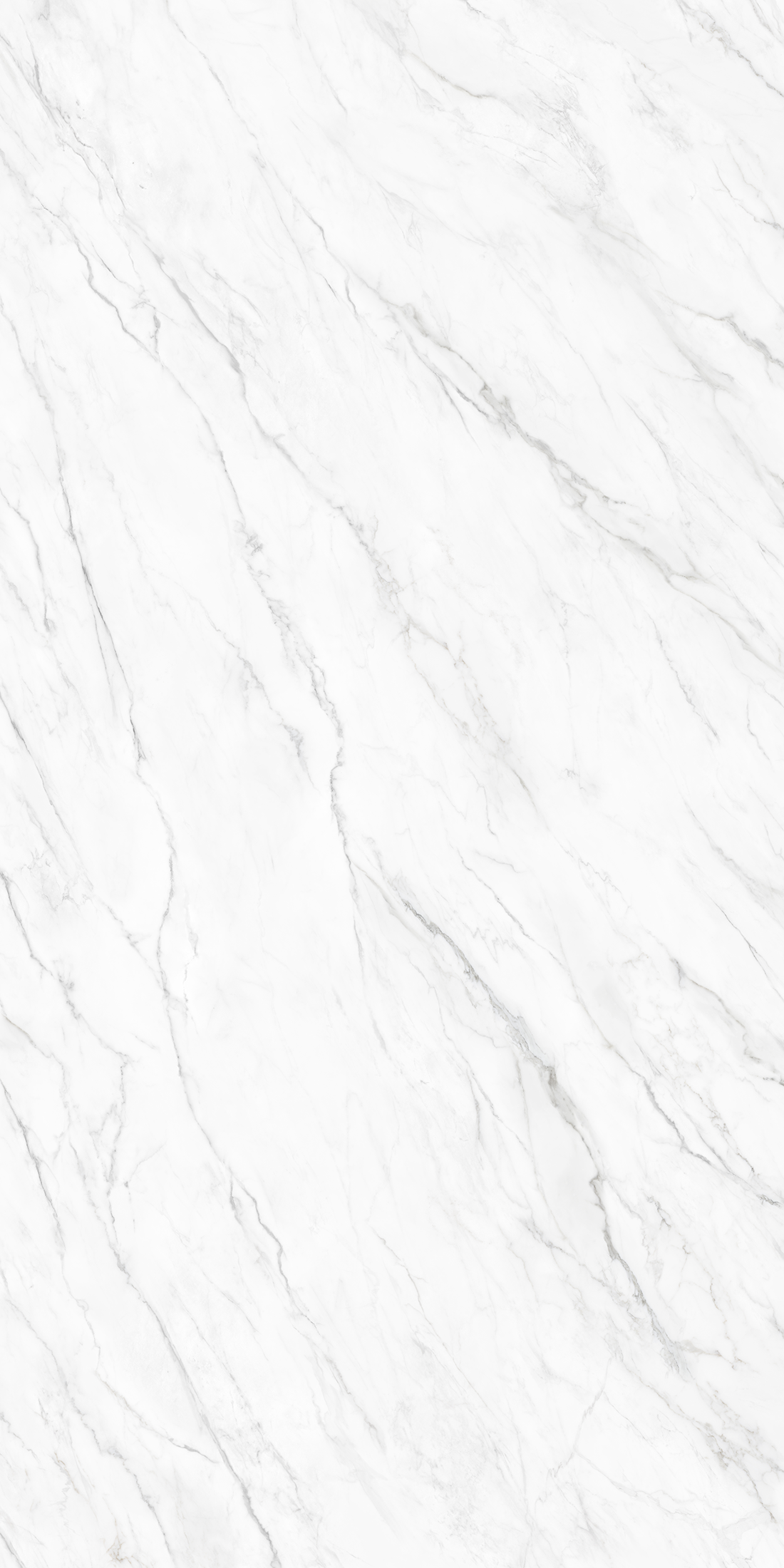 Calacatta Classic stone slab