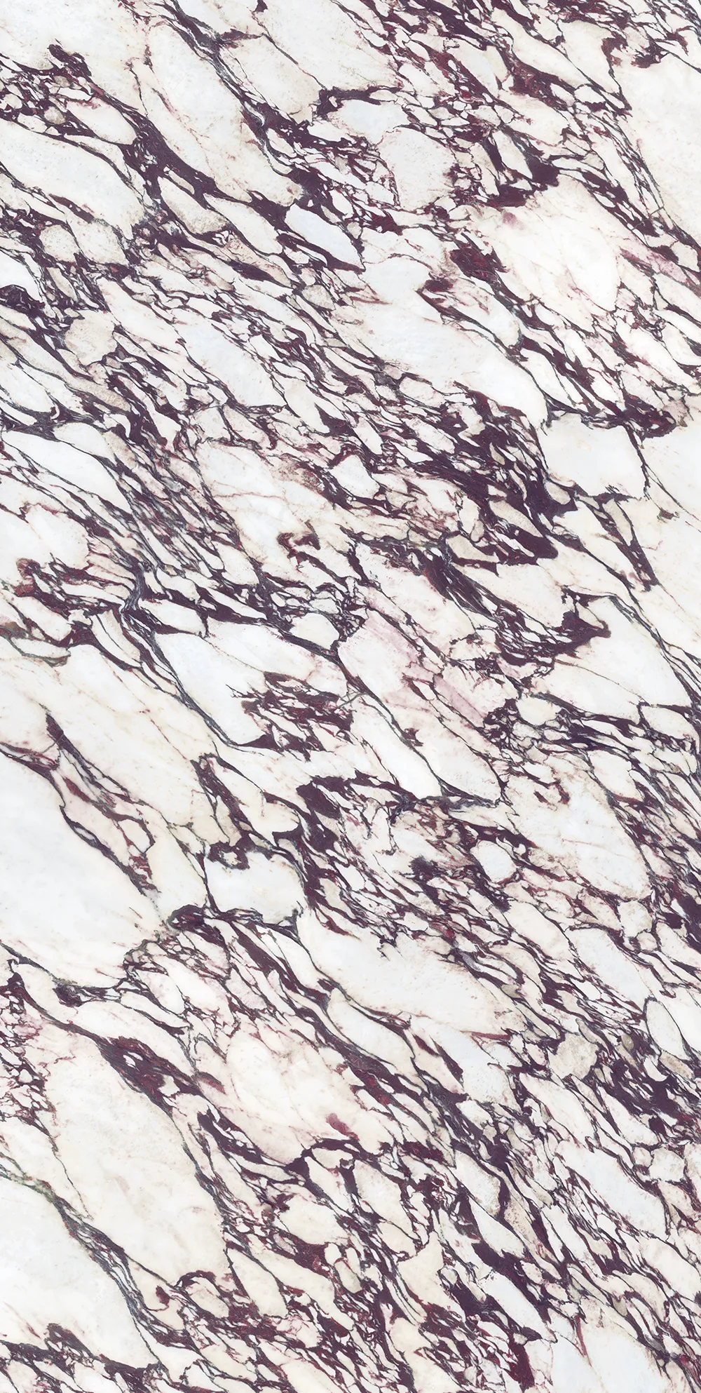 Infinity Surfaces Calacatta Viola stone slab