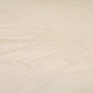 Neolith Arena
