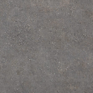 Neolith Wulong