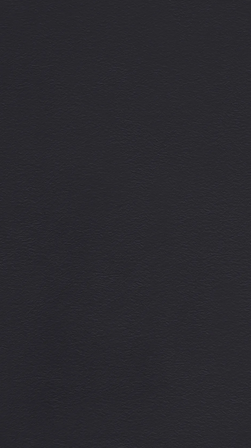 Infinity Surfaces Pigalle stone slab